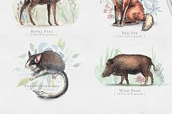 Wild Forest Watercolor Collection Product Image 2