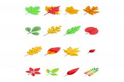 Autumn leaves icons set, isometric style Product Image 1