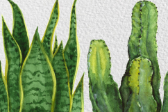 Watercolor Indoor Plants Clip Art Set Product Image 5