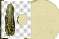 Italian Vegetable Marrow Squash Product Image 2