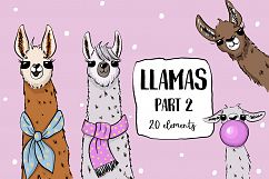 Llamas 2 Product Image 1