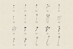 227 hand drawn palms + BONUS Product Image 7