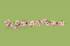 17 Watercolor Cherry Blossom ClipArt Product Image 3