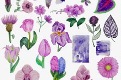 Violet Set Product Image 4