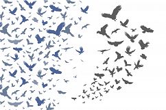 Silhouette of black birds pack on a white background Product Image 2