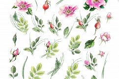 Watercolor flower Clip Art â€“ Eglantine  Product Image 5