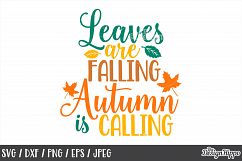 Leaves are falling Autumn is calling, Autumn, Fall SVG, PNG Product Image 1