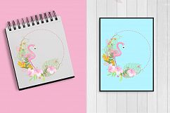 Flamingos clipart mega pack, graphics, illustrations AMB-1047 Product Image 4