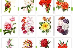Entire Vintage Collection -Over 1000 Illustrations Product Image 8