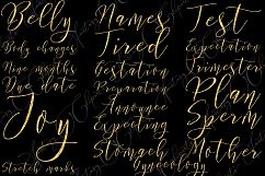 Pregnancy Word Art Clipart Product Image 4