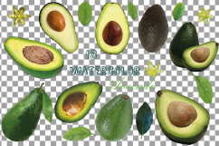 Watercolor Avocado clip art pack,avocado leaves and flowers Product Image 11