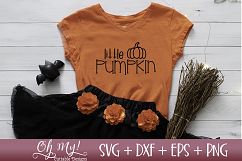 Little Pumpkin - SVG DXF EPS PNG Product Image 2