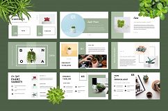 Botany Powerpoint Presentation Product Image 3