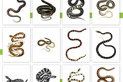 Entire Vintage Collection -Over 1000 Illustrations Product Image 18