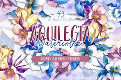 Beautiful aquilegia PNG watercolor set Product Image 1
