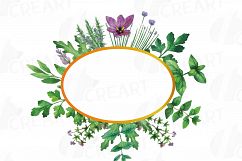 Herbs and Spices frames watercolor clip art pack, watercolor herb leaves borders. PNG, jpg, svg, vector illustrator &amp; corel files included Product Image 2