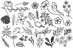 Handsketched floral elements. VOL2 Product Image 2