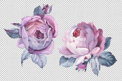 Two pink roses PNG watercolor set Product Image 2