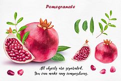 Watercolor Fruits collection Product Image 9