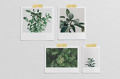 Polaroid Mockups Set Product Image 11