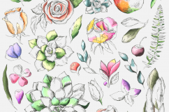 Botanic Marker Collection Product Image 6