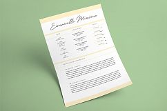 Elegant MS Word Resume Template Product Image 4
