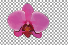Colourful orchids watercolor clip art pack, leaves, flowers Product Image 11