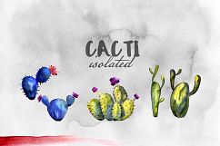 Cacti watercolor PNG set Product Image 8