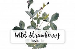 Florals - Vintage Wild Strawberry Product Image 1