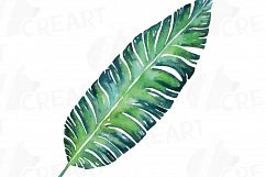 Watercolor Flamingos Clipart with watercolor leafs. 5 flamingos and 7 green leafs, flamingos and leafs collection, greenery, diy invitation Product Image 8