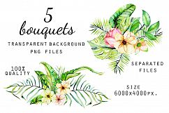 Hawaii. Big tropical clip art. Product Image 3