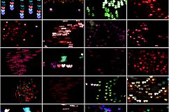 28 Heart Bokeh Photo Overlays Product Image 7