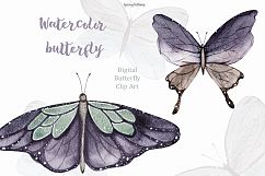 Spring watercolor butterfly Watercolor clipart illustration Product Image 4