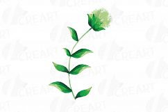 Wild leaves and flowers watercolor clip art pack Product Image 12