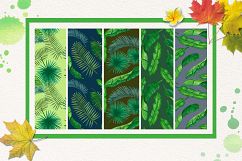 Palm and Banana Leaves Patterns Product Image 6