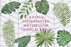8 Large Watercolor Tropical Leaves Product Image 1