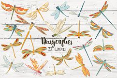 Dragonflies  Product Image 1