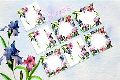 Tender Irises PNG watercolor set Product Image 8