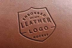 300 Shield For Logo &amp; Badge Product Image 23