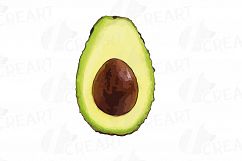 Watercolor Avocado clip art pack,avocado leaves and flowers Product Image 3