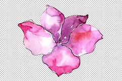 Tropical pink gardenia PNG watercolor flower set Product Image 5