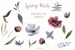 Spring birds Big watercolor clipart Product Image 2