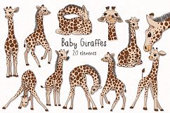 Baby Giraffes Product Image 1