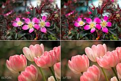 Flowers Lr Presets Product Image 2