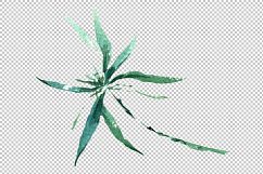 Exotic bamboo PNG watercolor set Product Image 4