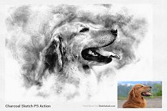 Charcoal Sketch Photoshop Action Product Image 6