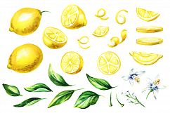 Fresh Lemon. Watercolor collection Product Image 2