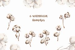 Watercolour Cotton clipart, branches winter watercolor Product Image 2