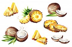 Pina colada. Watercolor collection Product Image 3