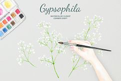 Hand painted watercolor clipart white baby&#039;s breath, gypsophila Product Image 2